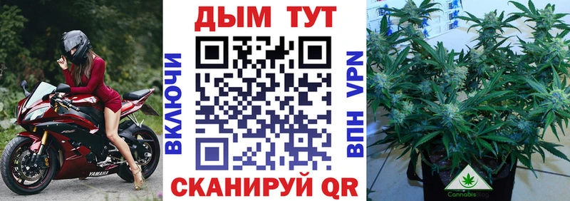 Виды наркотиков купить Новосиль Амфетамин МАРИХУАНА Кокаин