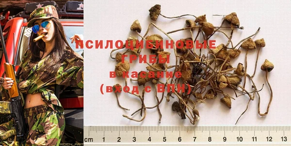 прущая мука Гусиноозёрск