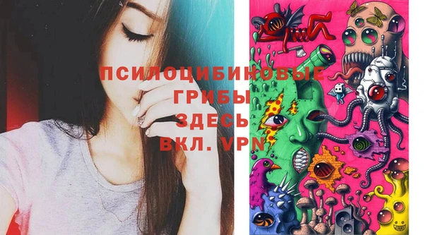 не бодяженный Гусь-Хрустальный