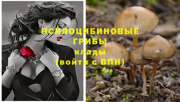 не бодяженный Гусь-Хрустальный