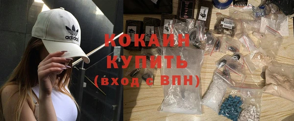 первитин Гусев