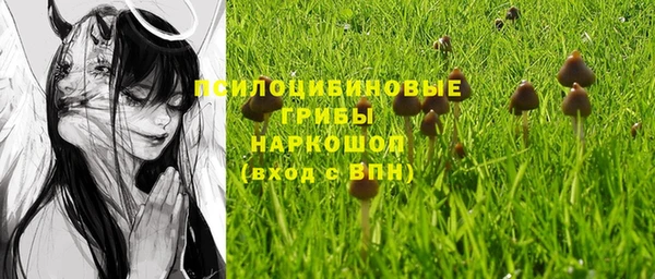 не бодяженный Гусь-Хрустальный