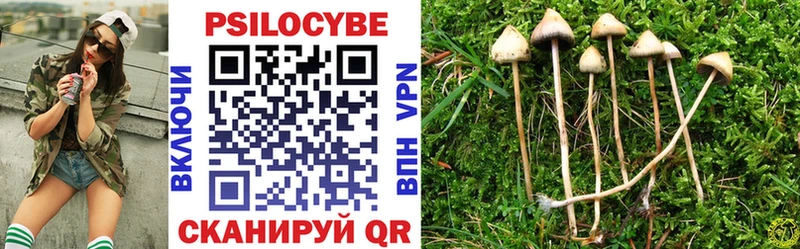 Псилоцибиновые грибы Cubensis  omg сайт  Новосиль 